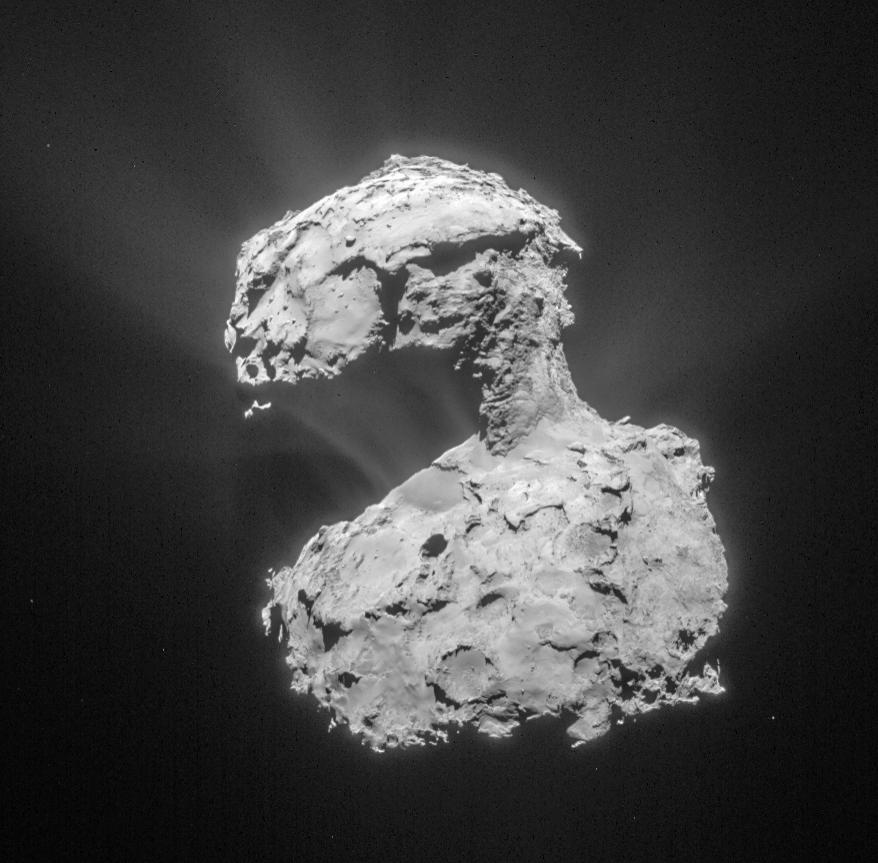 rosetta comet