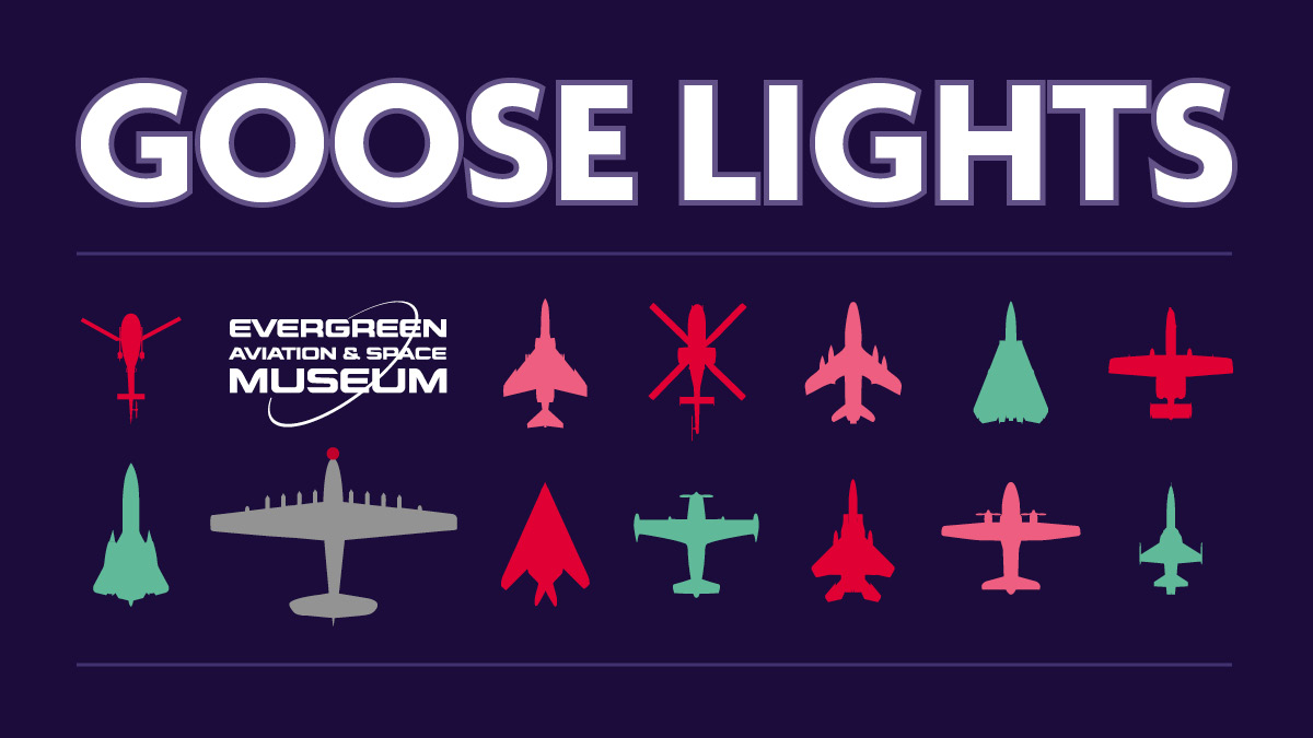 Goose Lights email_1536x864